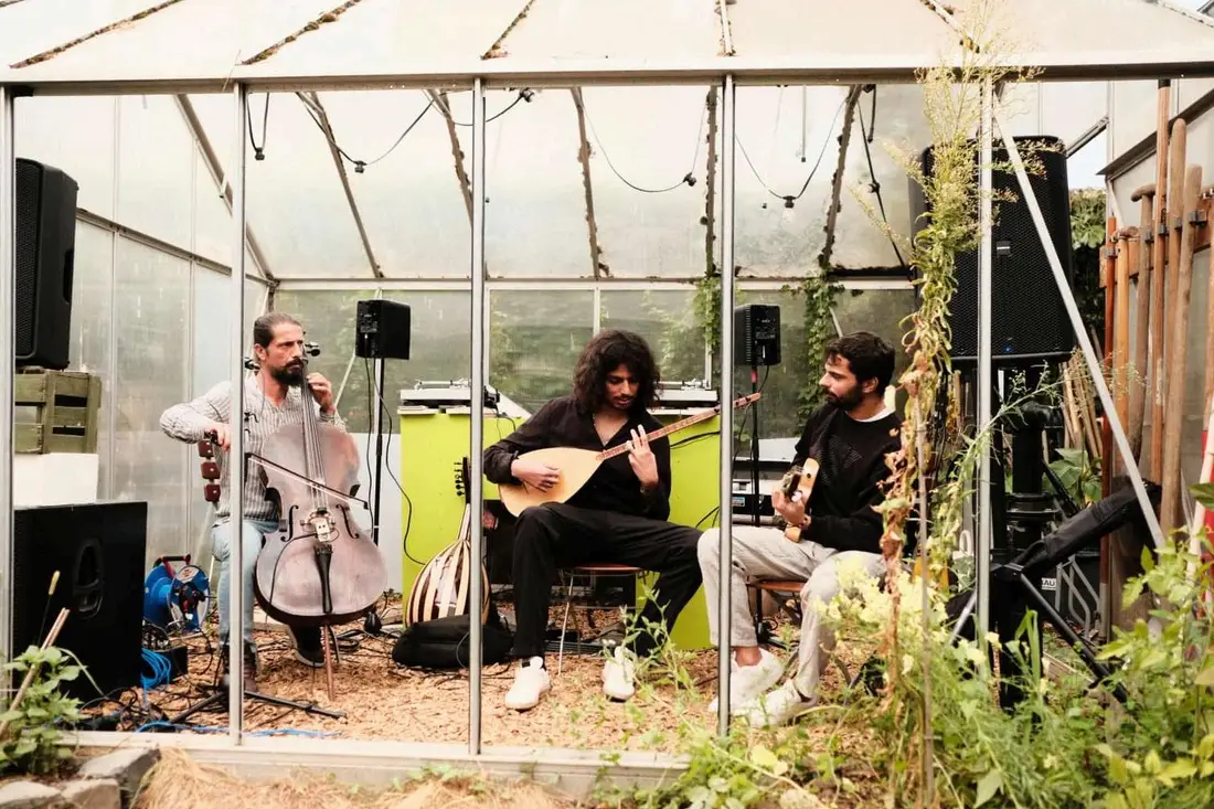 Live music with saz and cello at a CitySeek event in a garden greenhouse